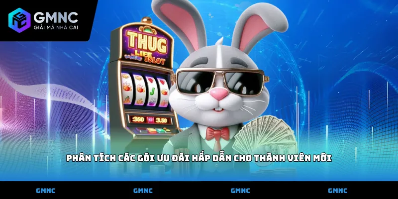 Phân tích các gói ưu đãi hấp dẫn cho thành viên mới