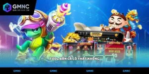 Tool Bắn cá có thật không